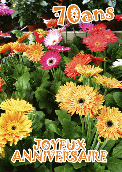 Carte Des Fleurs Jaunes Pour Les 70 Ans : Envoyer une 